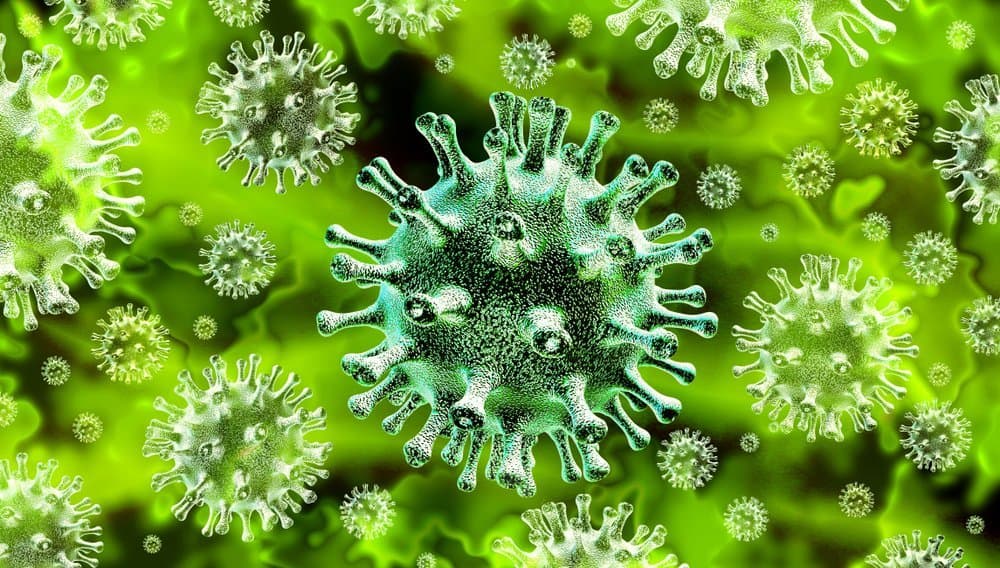 coronavirus